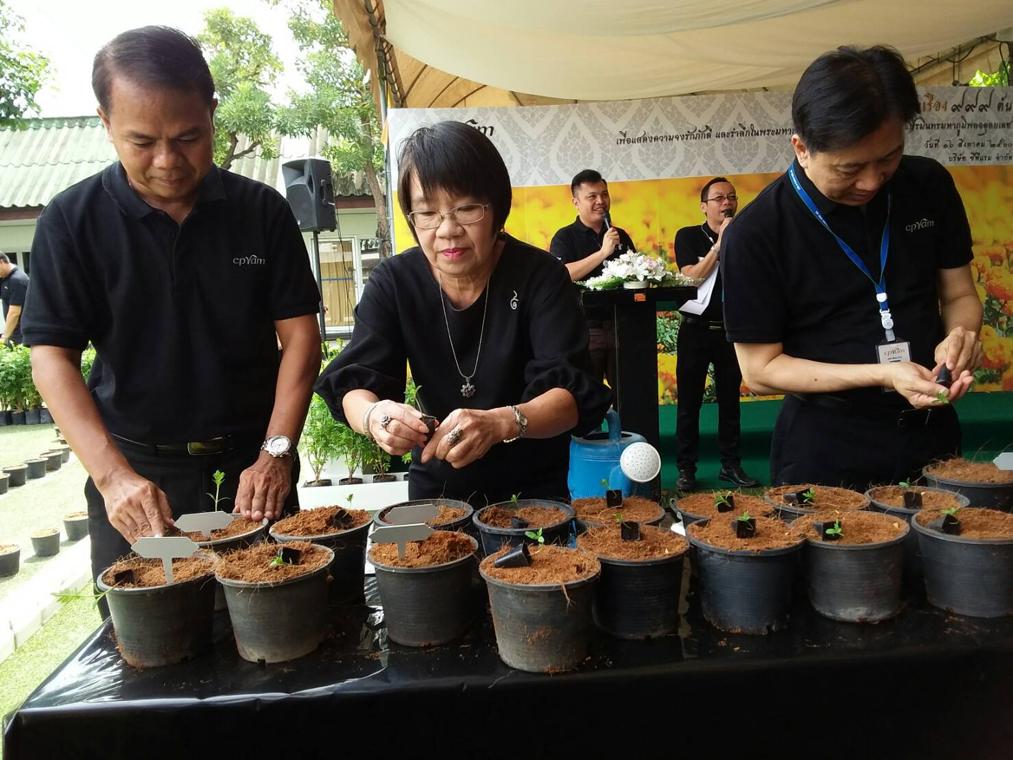 Mol-Thailand